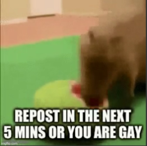 no gif but whatever | made w/ Imgflip meme maker