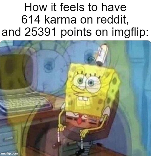 On the first side im like a good poster and on the second side im like a noob at posting | How it feels to have 614 karma on reddit, and 25391 points on imgflip: | image tagged in pain,suffering | made w/ Imgflip meme maker