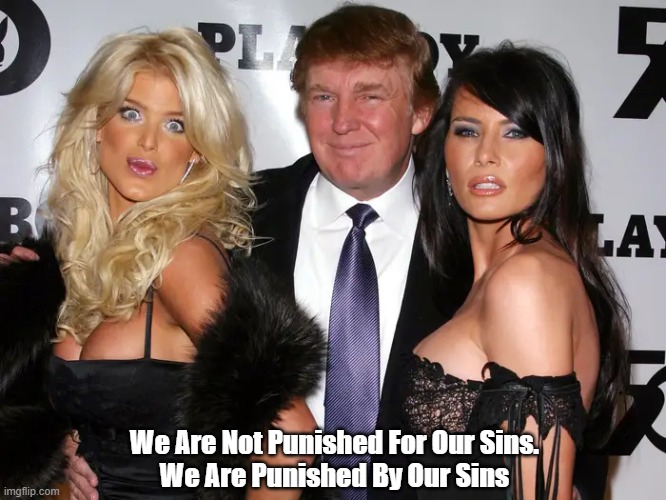 "We Are Not Punished For Our Sins" | We Are Not Punished For Our Sins.
We Are Punished By Our Sins | image tagged in sin,trump,punishment,melania | made w/ Imgflip meme maker