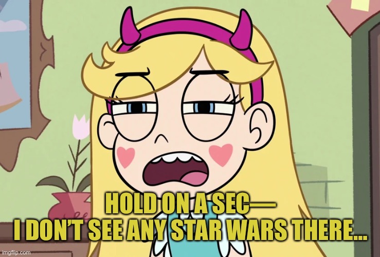 Star Butterfly 'this is not helping' | HOLD ON A SEC—
I DON’T SEE ANY STAR WARS THERE… | image tagged in star butterfly 'this is not helping' | made w/ Imgflip meme maker