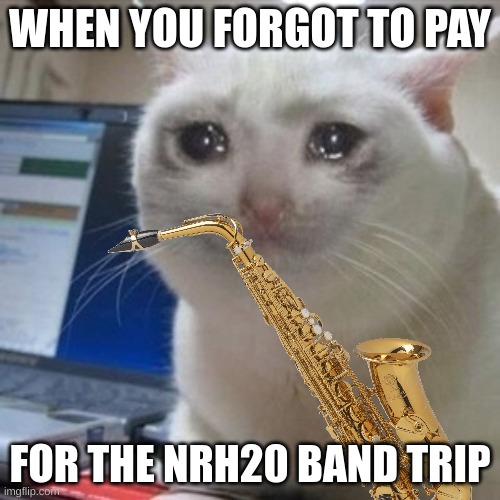 Crying cat | WHEN YOU FORGOT TO PAY; FOR THE NRH20 BAND TRIP | image tagged in crying cat,saxophone,band | made w/ Imgflip meme maker
