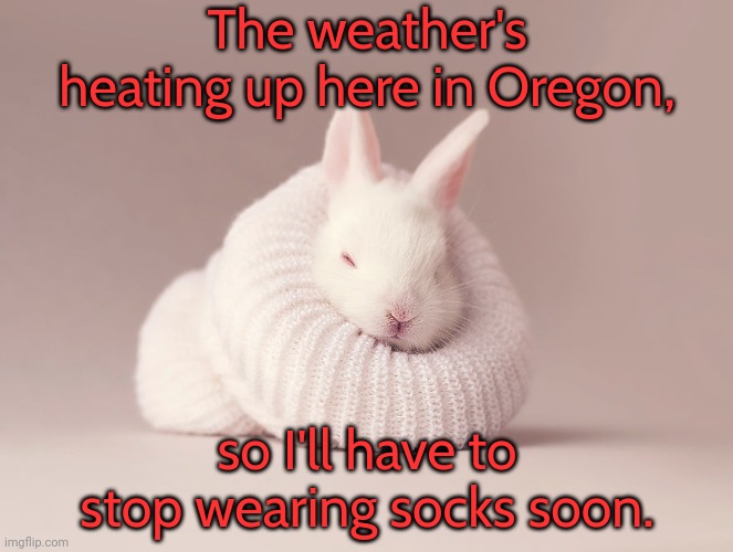 My feet cry out for freedom! | The weather's heating up here in Oregon, so I'll have to stop wearing socks soon. | image tagged in my sock,warm,sweat | made w/ Imgflip meme maker