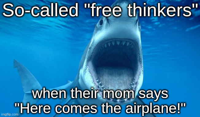 shark open mouth | So-called "free thinkers"; when their mom says "Here comes the airplane!" | image tagged in shark open mouth,free thinker,here comes the airplane,baby,freedom,memes | made w/ Imgflip meme maker