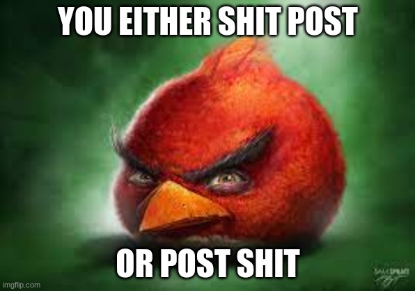 Realistic Red Angry Birds | YOU EITHER SHIT POST; OR POST SHIT | image tagged in realistic red angry birds | made w/ Imgflip meme maker