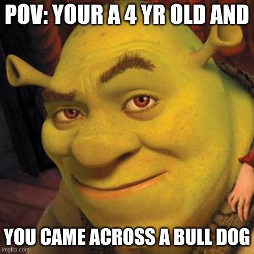 Rizz | POV: YOUR A 4 YR OLD AND; YOU CAME ACROSS A BULL DOG | image tagged in shrek sexy face | made w/ Imgflip meme maker