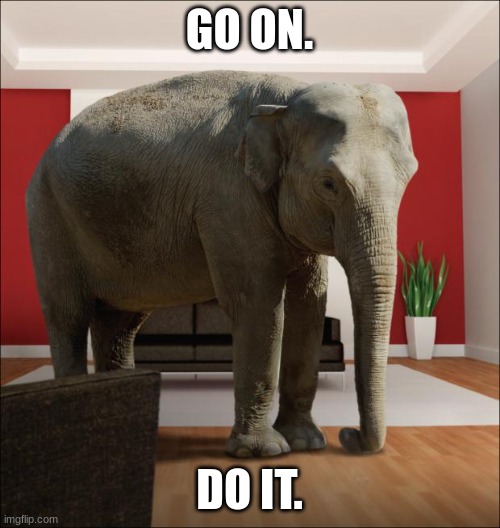 Elephant In The Room | GO ON. DO IT. | image tagged in elephant in the room | made w/ Imgflip meme maker