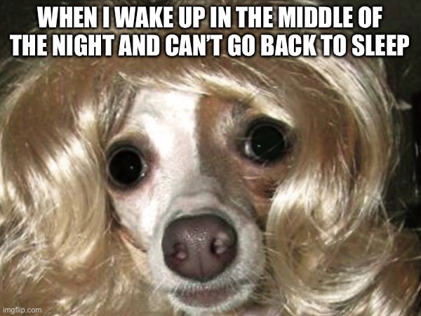 Bro | WHEN I WAKE UP IN THE MIDDLE OF THE NIGHT AND CAN’T GO BACK TO SLEEP | image tagged in lol | made w/ Imgflip meme maker