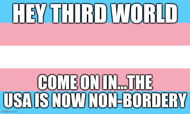 Trans Flag | HEY THIRD WORLD; COME ON IN...THE USA IS NOW NON-BORDERY | image tagged in trans flag | made w/ Imgflip meme maker