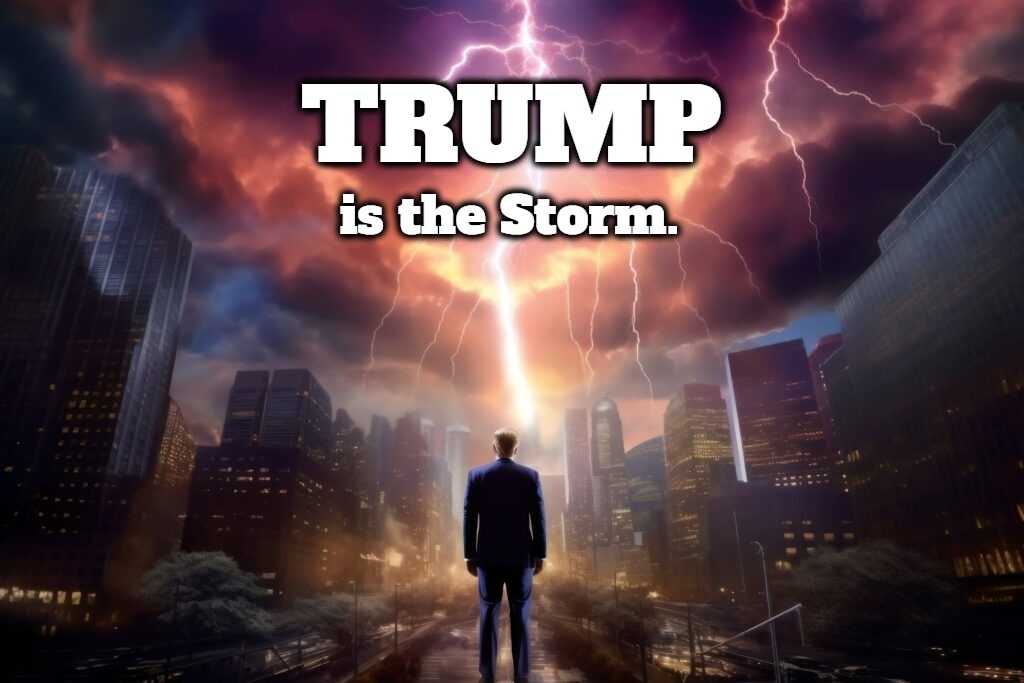 TRUMP is the Storm | image tagged in trump,heroes of the storm,the storm is upon us,trump 2024,maga,donald j trump | made w/ Imgflip meme maker