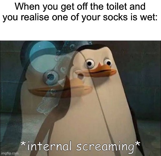 *screaming* | When you get off the toilet and you realise one of your socks is wet: | image tagged in private internal screaming,memes,funny,relatable,why must you hurt me in this way | made w/ Imgflip meme maker