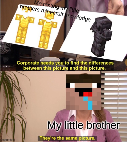 They're The Same Picture Meme | Me testing my little brothers minecraft knowledge; My little brother | image tagged in memes,they're the same picture | made w/ Imgflip meme maker