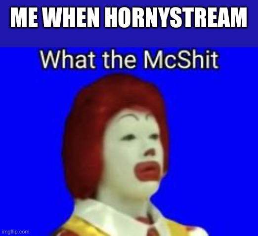 What the McShit | ME WHEN HORNYSTREAM | image tagged in what the mcshit | made w/ Imgflip meme maker