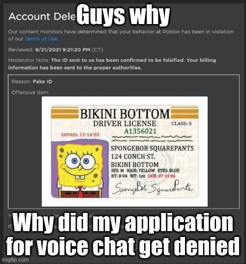 why | Guys why; Why did my application for voice chat get denied | image tagged in falsified roblox id meme,spongebob,roblox | made w/ Imgflip meme maker