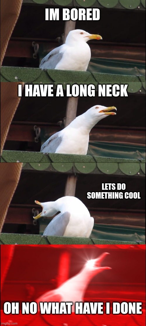 Inhaling Seagull | IM BORED; I HAVE A LONG NECK; LETS DO SOMETHING COOL; OH NO WHAT HAVE I DONE | image tagged in memes,inhaling seagull | made w/ Imgflip meme maker