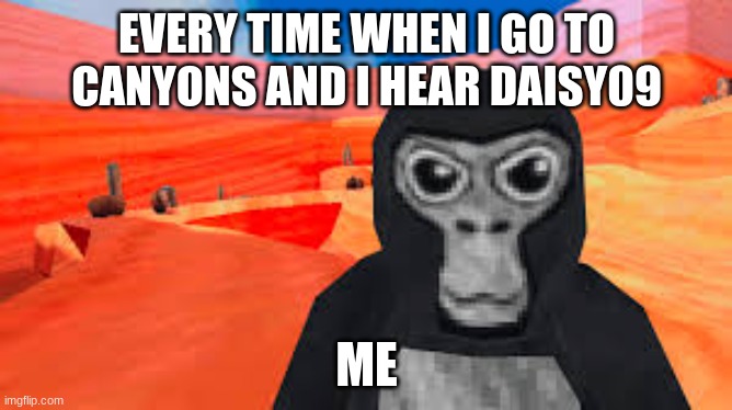 gorilla tag | EVERY TIME WHEN I GO TO CANYONS AND I HEAR DAISY09; ME | image tagged in gorilla tag | made w/ Imgflip meme maker