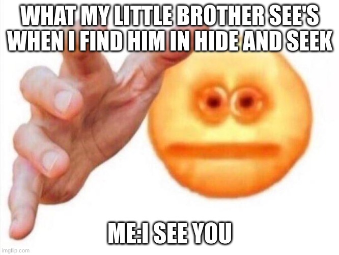 cursed emoji hand grabbing | WHAT MY LITTLE BROTHER SEE'S WHEN I FIND HIM IN HIDE AND SEEK; ME:I SEE YOU | image tagged in cursed emoji hand grabbing | made w/ Imgflip meme maker