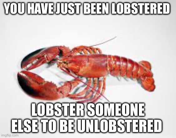 YOU HAVE JUST BEEN LOBSTERED; LOBSTER SOMEONE ELSE TO BE UNLOBSTERED | image tagged in lobster | made w/ Imgflip meme maker