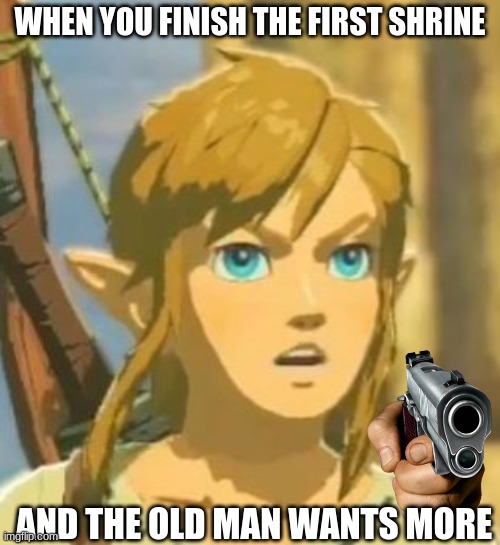 Offended Link | WHEN YOU FINISH THE FIRST SHRINE; AND THE OLD MAN WANTS MORE | image tagged in offended link | made w/ Imgflip meme maker