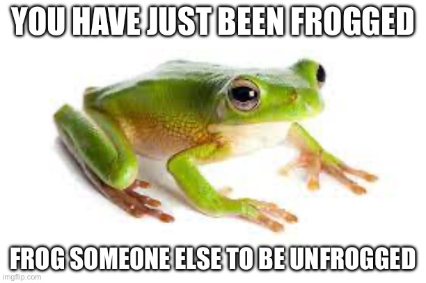 YOU HAVE JUST BEEN FROGGED; FROG SOMEONE ELSE TO BE UNFROGGED | image tagged in frog | made w/ Imgflip meme maker