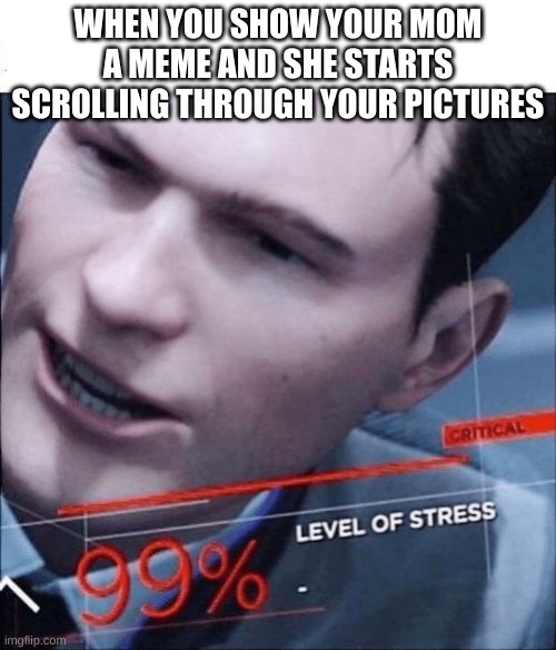 99% Level of Stress | WHEN YOU SHOW YOUR MOM A MEME AND SHE STARTS SCROLLING THROUGH YOUR PICTURES | image tagged in 99 level of stress | made w/ Imgflip meme maker