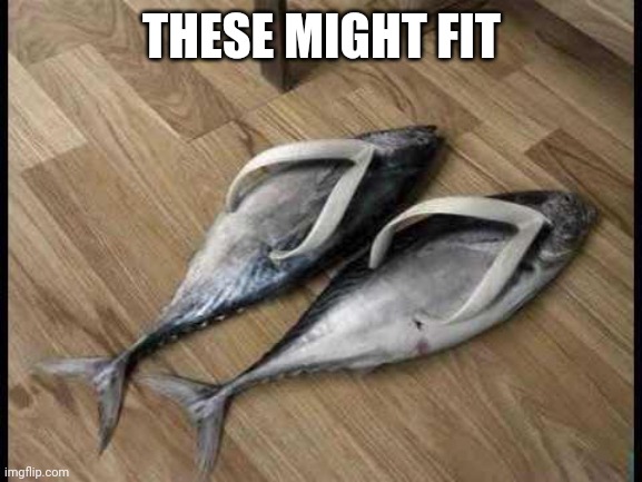Fish Flops | THESE MIGHT FIT | image tagged in fish flops | made w/ Imgflip meme maker