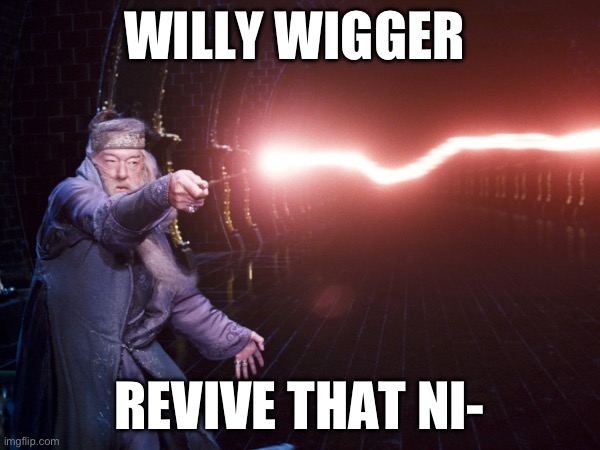 Th majic gamer spell | WILLY WIGGER; REVIVE THAT NI- | image tagged in albus dumbledore | made w/ Imgflip meme maker