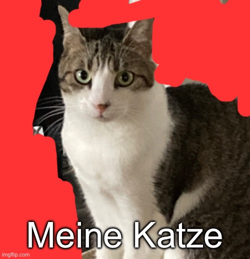 Meine Katze | made w/ Imgflip meme maker