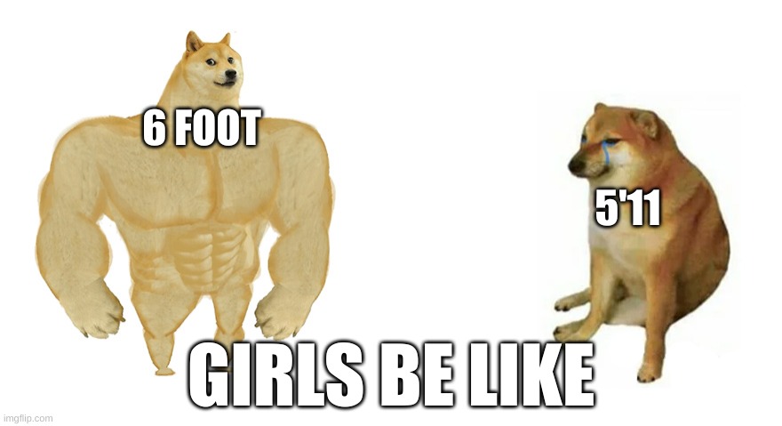 "ew youre not 6foot" | 6 FOOT; 5'11; GIRLS BE LIKE | image tagged in buff doge vs crying cheems,girls be like,dogs,height,funny,upvote begging | made w/ Imgflip meme maker