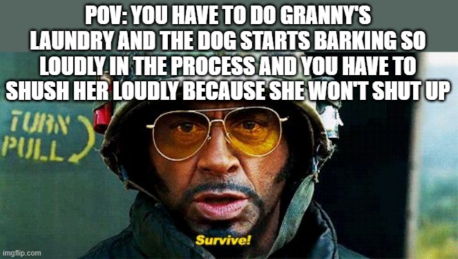 That's basically the way things went down for me last night | POV: YOU HAVE TO DO GRANNY'S LAUNDRY AND THE DOG STARTS BARKING SO LOUDLY IN THE PROCESS AND YOU HAVE TO SHUSH HER LOUDLY BECAUSE SHE WON'T SHUT UP | image tagged in tropic thunder survive,memes,pets can be jerks sometimes,relatable,tropic thunder,robert downey jr tropic thunder | made w/ Imgflip meme maker