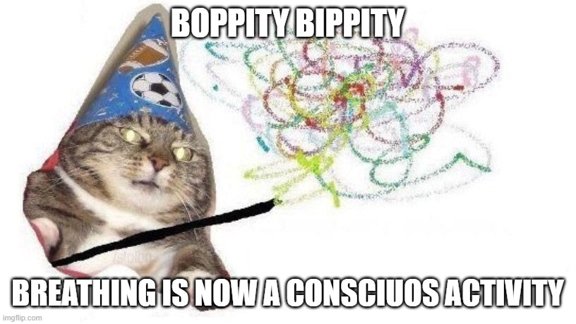 a | BOPPITY BIPPITY; BREATHING IS NOW A CONSCIUOS ACTIVITY | image tagged in wizard cat,memes | made w/ Imgflip meme maker