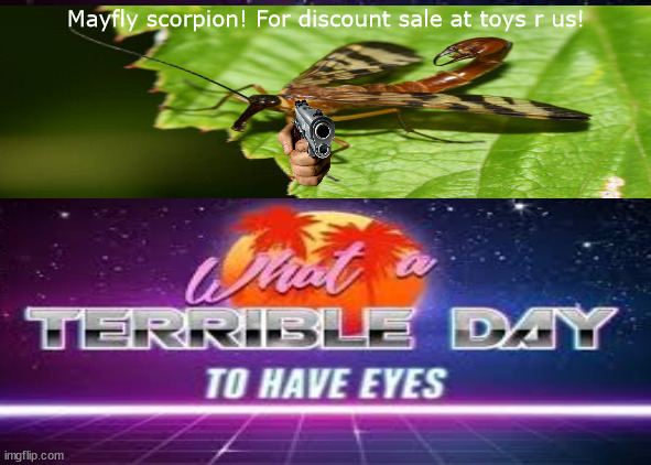 Mayfly scorpion! For discount sale at toys r us! | made w/ Imgflip meme maker