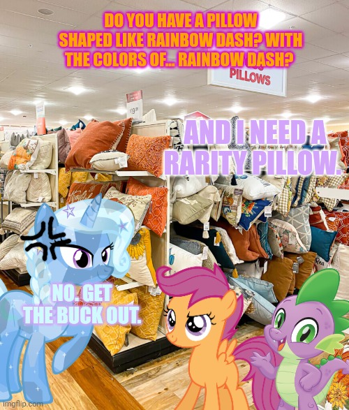 Pillow shop | DO YOU HAVE A PILLOW SHAPED LIKE RAINBOW DASH? WITH THE COLORS OF... RAINBOW DASH? AND I NEED A RARITY PILLOW. NO. GET THE BUCK OUT. | image tagged in pony,problems,mlp,scootaloo | made w/ Imgflip meme maker