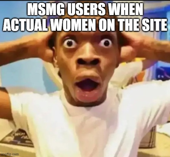 Surprised Black Guy | MSMG USERS WHEN ACTUAL WOMEN ON THE SITE | image tagged in surprised black guy | made w/ Imgflip meme maker