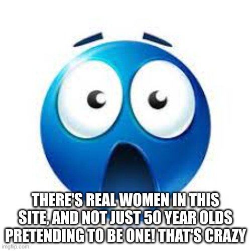 flabbergasted | THERE'S REAL WOMEN IN THIS SITE, AND NOT JUST 50 YEAR OLDS PRETENDING TO BE ONE! THAT'S CRAZY | image tagged in flabbergasted | made w/ Imgflip meme maker