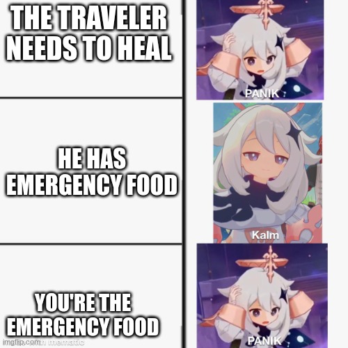 Paimon panik | THE TRAVELER NEEDS TO HEAL; HE HAS EMERGENCY FOOD; YOU'RE THE EMERGENCY FOOD | image tagged in paimon's panik | made w/ Imgflip meme maker