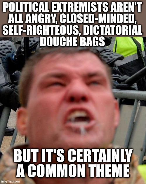 Singe the fringe to keep the fabric from unraveling | POLITICAL EXTREMISTS AREN'T
ALL ANGRY, CLOSED-MINDED,
SELF-RIGHTEOUS, DICTATORIAL
DOUCHE BAGS; BUT IT'S CERTAINLY
A COMMON THEME | image tagged in rabid terrorist | made w/ Imgflip meme maker