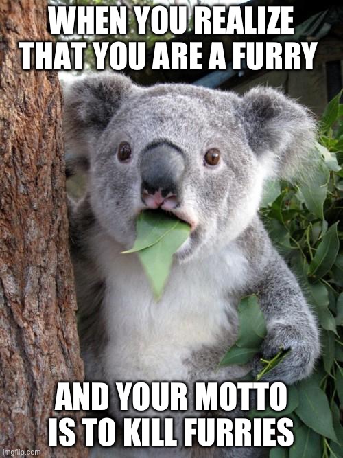 Surprised Koala Meme | WHEN YOU REALIZE THAT YOU ARE A FURRY; AND YOUR MOTTO IS TO KILL FURRIES | image tagged in memes,surprised koala | made w/ Imgflip meme maker