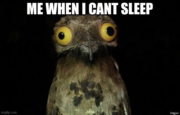 bird | ME WHEN I CANT SLEEP | image tagged in creepy bird | made w/ Imgflip meme maker