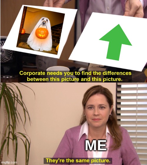 They're The Same Picture | ME | image tagged in memes,they're the same picture | made w/ Imgflip meme maker