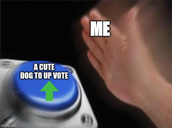 Blank Nut Button | ME; A CUTE DOG TO UP VOTE | image tagged in memes,blank nut button | made w/ Imgflip meme maker