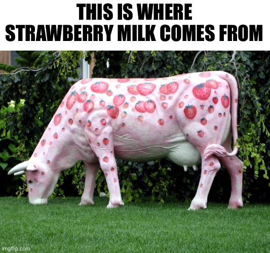 Strawberry milk | THIS IS WHERE STRAWBERRY MILK COMES FROM | image tagged in strawberry milk | made w/ Imgflip meme maker