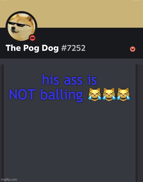 epic doggos epic discord temp | his ass is NOT balling 😹😹😹 | image tagged in epic doggos epic discord temp | made w/ Imgflip meme maker