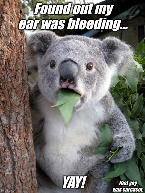 tw pain | Found out my ear was bleeding... YAY! that yay was sarcasm. | image tagged in memes,surprised koala | made w/ Imgflip meme maker