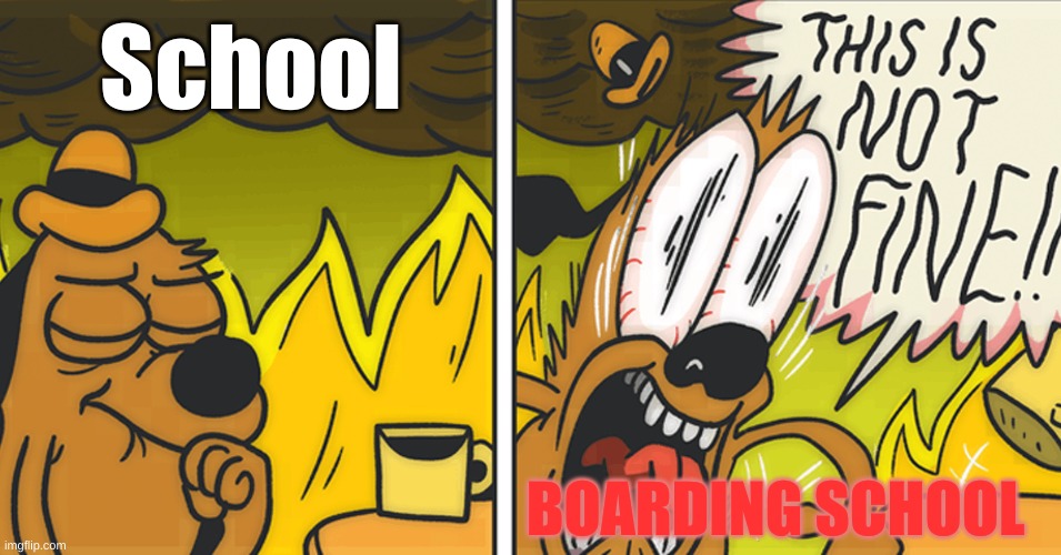 schoolllo | School; BOARDING SCHOOL | image tagged in this is not fine | made w/ Imgflip meme maker