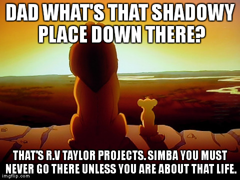Lion King | DAD WHAT'S THAT SHADOWY PLACE DOWN THERE? THAT'S R.V TAYLOR PROJECTS. SIMBA YOU MUST NEVER GO THERE UNLESS YOU ARE ABOUT THAT LIFE. | image tagged in memes,lion king | made w/ Imgflip meme maker