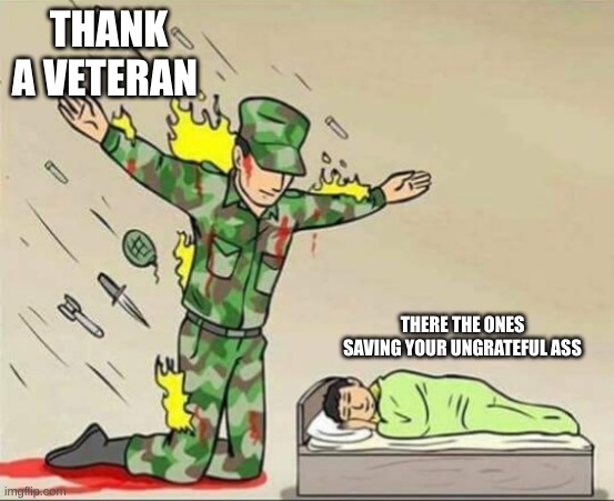 Thank a veteran | THANK A VETERAN; THERE THE ONES SAVING YOUR UNGRATEFUL ASS | image tagged in soldier protecting sleeping child,thank a veteran | made w/ Imgflip meme maker