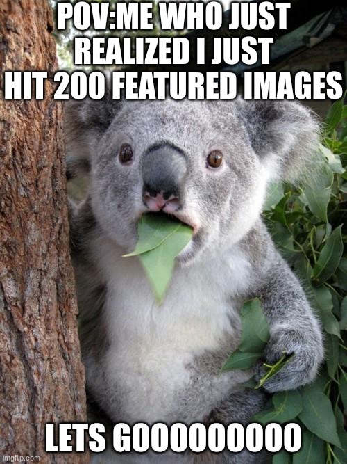 Just now noticed this will be 201 | POV:ME WHO JUST REALIZED I JUST HIT 200 FEATURED IMAGES; LETS GOOOOOOOOO | image tagged in memes,surprised koala,lol,200 featured images,funny memes | made w/ Imgflip meme maker