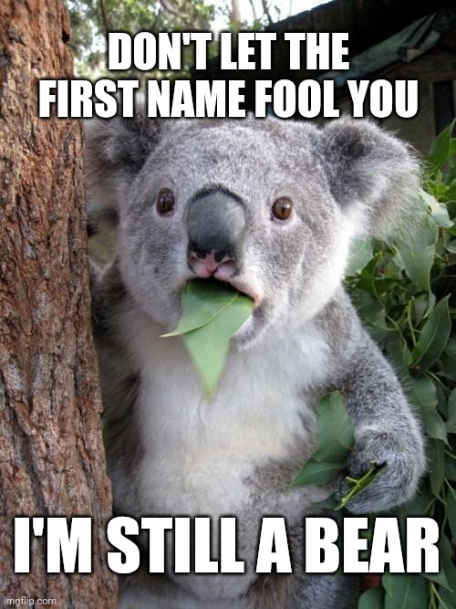 Surprised Koala | DON'T LET THE FIRST NAME FOOL YOU; I'M STILL A BEAR | image tagged in memes,surprised koala,bears,go bears | made w/ Imgflip meme maker