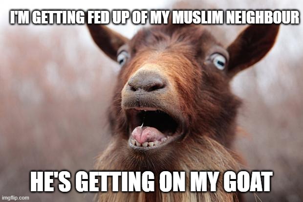 GoatScream2014 | I'M GETTING FED UP OF MY MUSLIM NEIGHBOUR; HE'S GETTING ON MY GOAT | image tagged in goatscream2014 | made w/ Imgflip meme maker