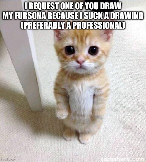 Cute Cat Meme | I REQUEST ONE OF YOU DRAW MY FURSONA BECAUSE I SUCK A DRAWING
(PREFERABLY A PROFESSIONAL) | image tagged in memes,cute cat | made w/ Imgflip meme maker